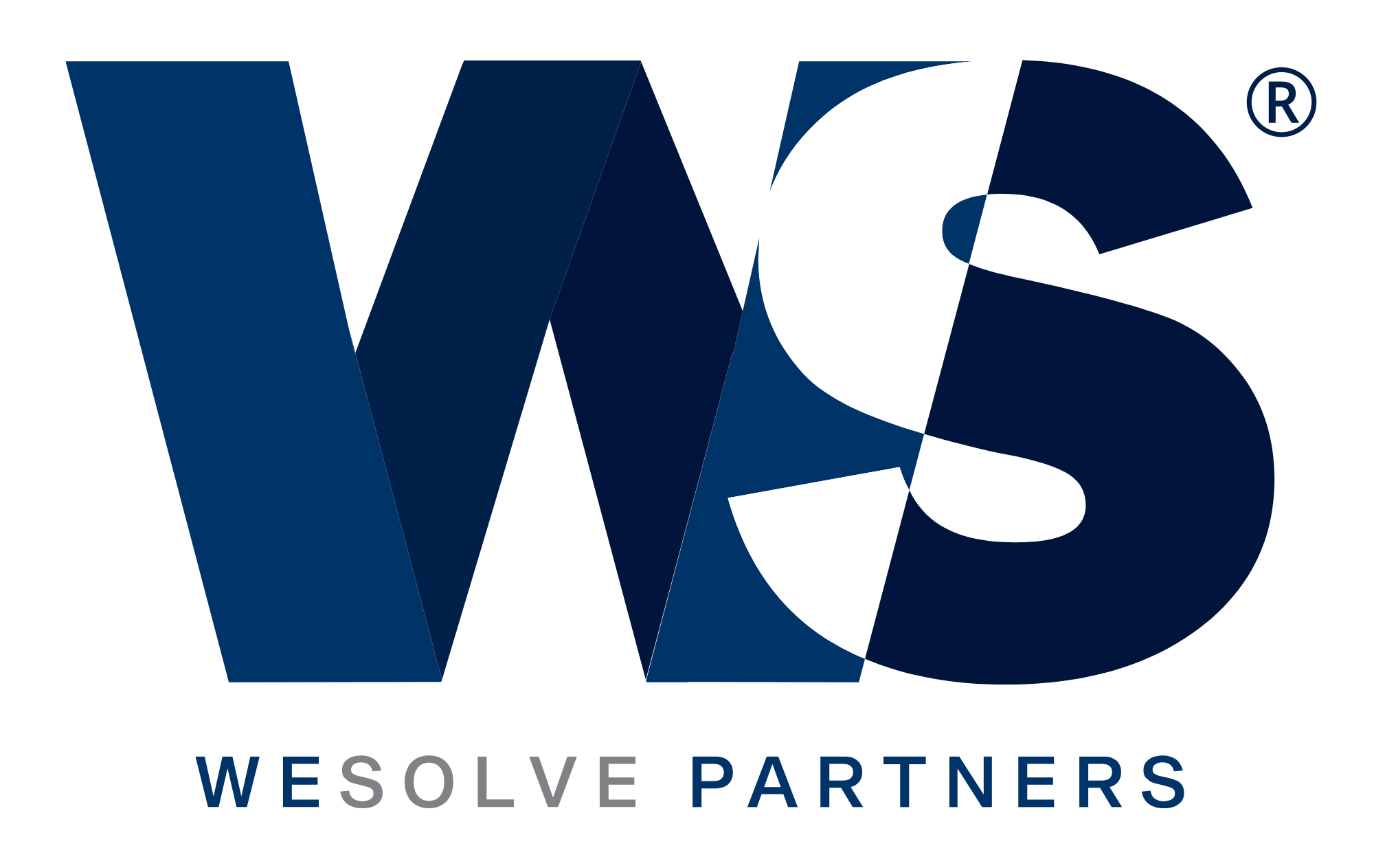 WeSolve Partners